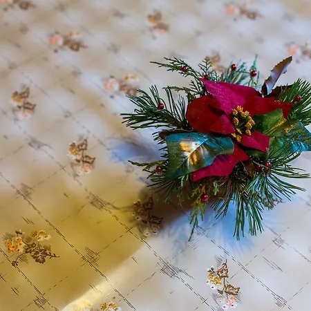 Apartman Sodja Bohinj