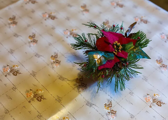 דירה Sodja בוהין